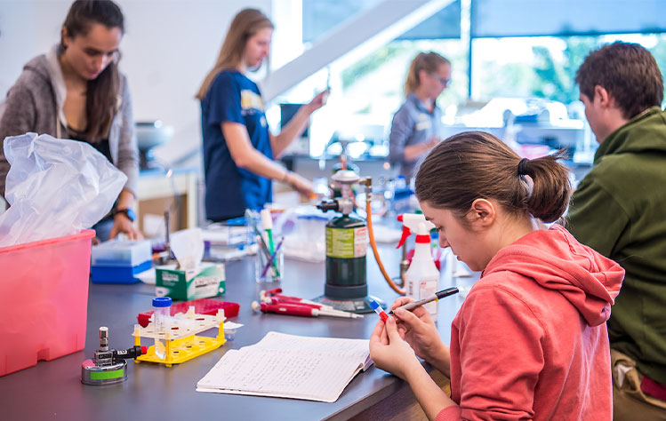 Five Webster students work at a laboratory table with test tubes, pipettes and other scientific equipment.
