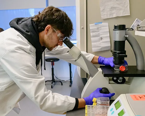 Student with gloves and lab coat looking into microscope in a lab setting. 